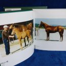 통산1목장 이미지