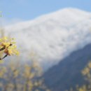 지리산나들락마을 이미지