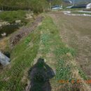 지리산청학농협 청암지점 이미지