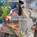 부산해양자연사박물관 | 부산 아이와 가볼만한 곳 추천｜부산해양자연사박물관 무료 전시 후기