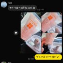 영통동물병원 | 🐦 모란앵무 소형 병원 방문 후기 &amp; 수원 영통 새봄동물병원 | 총배설강 붓기 · 배 불룩 · 번식 행동