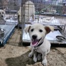 민정배터리 타이어 이미지