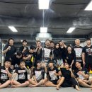 팀크로우 MMA 이미지