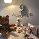 견묘양처 | 벌써 11월 끝자락이 아닌 끝..✨