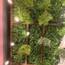 담따프레시 김천혁신점 | [김천혁신술집, 와인바] 담따프레시 김천혁신점 방문후기