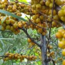 깊은내농장 이미지