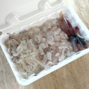 운수 | 회가 신선한 경주 감포 횟집 태운수산 포장후기