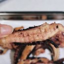 찡보네징어