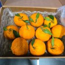 허들농장 이미지