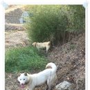 풍산농장 이미지