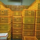 영운농장 이미지