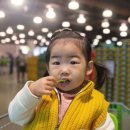 팩트디자인하우스 네이버블로그