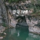 월영연못공원 | 태백 가을 단풍 여행 2편 - 구문소와 검룡소, 물길 따라 걷는 여행