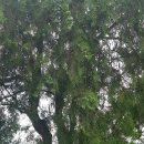 산성가음로 이미지