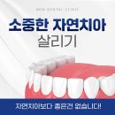 경기도 동두천시 임플란트 전문 치과 잘하는 곳 추천 좋아요 6곳