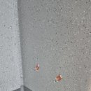 화성파크드림아파트 이미지