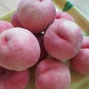 경봉마트 이미지