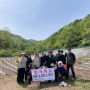 청기면사무소 이미지