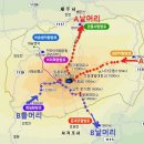 제230차(19- 2) 2019년 1월19일 한라산 특별산행 탑승자 이미지