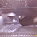 유성크리닝 이미지