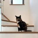 소소디자인 이미지