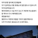 한국인인거 알고 혐한한 일본 에어비엔비 호스트 이미지