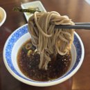 삼동소바 제천점 | [제천 맛집/의림지 맛집] "이 면발 실화?" 의림지 가면 무조건 들러야 할 삼동소바 후기