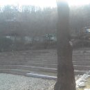 성일농장2 이미지