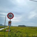 무녀도전망대 | 군산 여행 포토 스팟 인생샷 추천 옥녀교차로 야미도 꽃게바위 새만금 방조제 무녀도 선유도 해수욕장