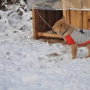 정우네농장 이미지