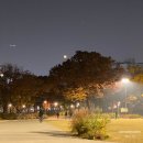 양천경찰서 교통조사계 앞 | (주간일기) 양천경찰서 운전면허증 갱신 방법, 준비물, 모바일 운전면허증 신청/ 서울근교 단풍놀이...