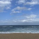 금강산옹심이막국수 이미지