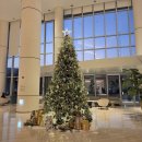 인앤펫 | 김해 롯데호텔 앤리조트 후기.