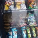 (주)글루시아
