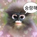 설빙해밀점