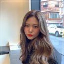 빈센트 헤어 이미지