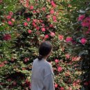 다원결혼정보 이미지