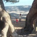 학동 펜션 이미지