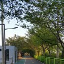 (주)새벽 Daum카페