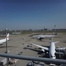 일본에서 일시귀국(재입국)하기 하네다공항 이용 이미지