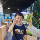 안경볼래 | 김포공항 롯데몰 여주곤충박물관 아이랑 방문후기, 어린이 체험부터 할인까지
