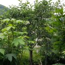 산아래 하우스 이미지