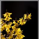 봄의언덕 이미지