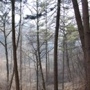 원주굽이길 원2코스 구학산둘레숲길 | 원주굽이길 원2코스 - 구학산 둘레숲길 (2021.02.21)