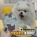 저알러지 강아지간식 리얼코코넛 후코이단 후기