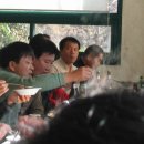 조종규농장 Daum카페