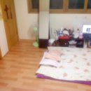 둔원초등학교 이미지