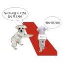 추석이니까 인류애 충전이나 하라고 그냥.. 이미지