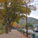 천령산 화장실 이미지