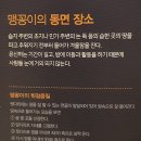 달성습지 생태 학습관 이미지